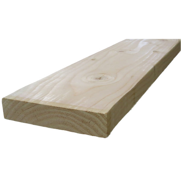 Douglas Fir